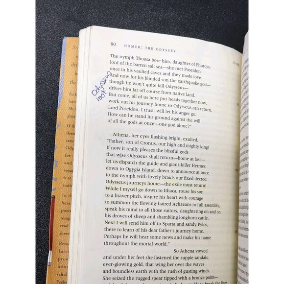 The Odyssey Homer book deluxe edition Fagles translation classic - Picture 8 of 8